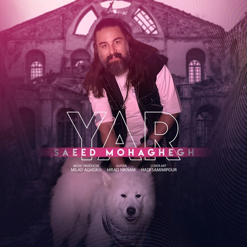 سعید محقق یار